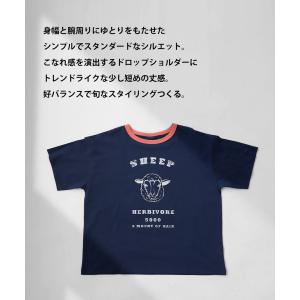アニマル カレッジロゴ Tシャツ レディース ...の詳細画像5