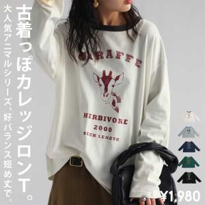 アニマル カレッジロゴ ロンT レディース トッ...の商品画像