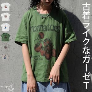 プリントTシャツ レディース 綿100 半袖 送料無料 ・50ptメール便可 爆買
