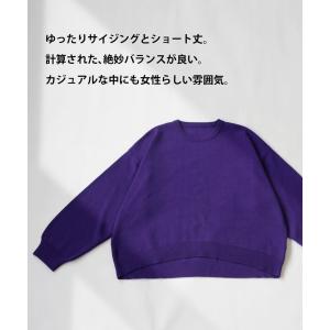 総針ニット ニット レディース トップス 長袖...の詳細画像4