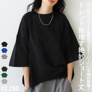 半袖 裏毛プルオーバー トレーナー レディース トップス・再再販。500ptメール便可