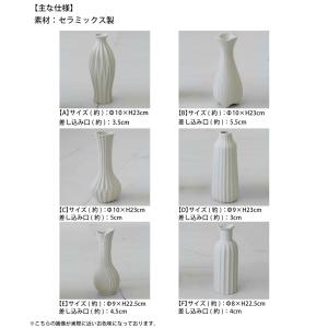 花瓶 フラワーベース 花瓶 花器 植物 花 フ...の詳細画像2