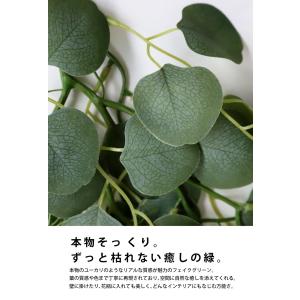 フェイクユーカリ グリーン 吊り下げ インテリ...の詳細画像4