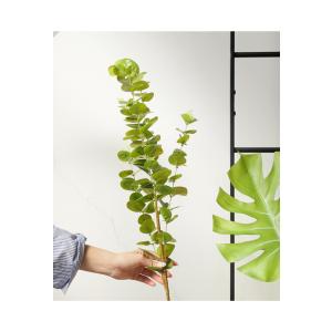 フェイクユーカリ リーフ ステム 造花 インテ...の詳細画像2