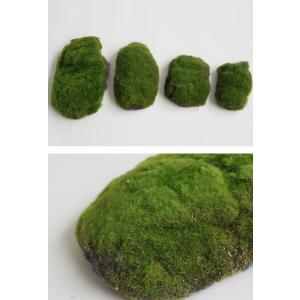 フェイクグリーン 苔 人工苔 4個セット イン...の詳細画像3