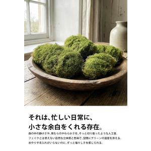 フェイクグリーン 苔 人工苔 4個セット イン...の詳細画像5
