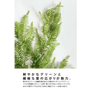 フェイクグリーン シダ インテリア 観葉植物 ...の詳細画像4