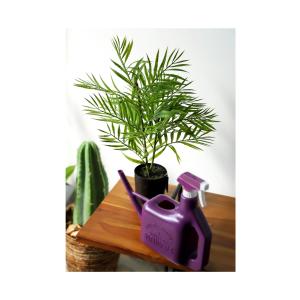 フェイクグリーン 観葉植物 インテリア ポット...の詳細画像3