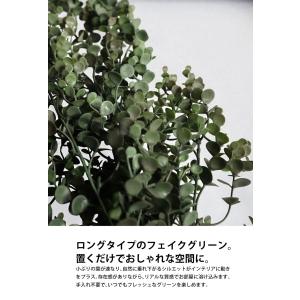 フェイクグリーン ユーカリ風 ロング ハンギン...の詳細画像4