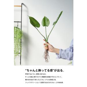 ポイント10%!2月25日20時〜3月26日1...の詳細画像4