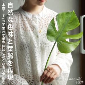 フェイクグリーン モンステラ インテリア グリーン 観葉植物・メール便不可