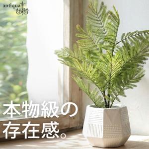 ポイント10％！2月25日20時〜3月26日10時 シダ風 リアル フェイクグリーン 室内用 インテリアグリーン・メール便不可