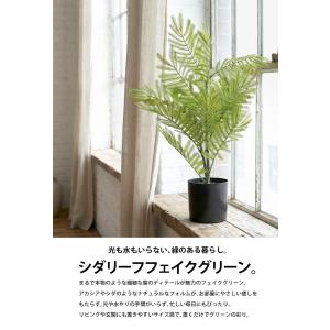 シダ風 リアル フェイクグリーン 室内用 イン...の詳細画像1