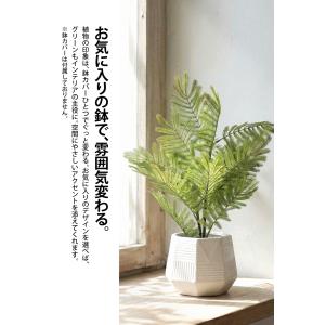 シダ風 リアル フェイクグリーン 室内用 イン...の詳細画像5