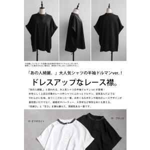 レース襟ドルマンシャツ レディース 半袖 トッ...の詳細画像1