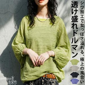 シアー ドルマントップス レディース 長袖 クルーネック 送料無料 ・50ptメール便可