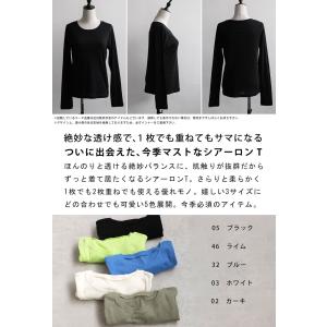 シアーロンT カットソー レディース トップス...の詳細画像1