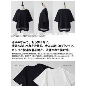 Tシャツ レディース 半袖 綿100 クルーネ...の詳細画像1