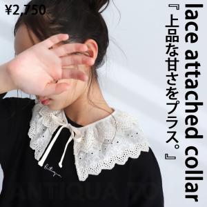 キッズ 子供服 女の子 ジュニア 高学年 襟 カラー 付け襟 アンティカ・30ptメール便可 TOY｜antiqua