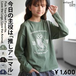 アニマル ロンT 綿100 長袖 クルーネック ジュニア 子供服・100ptメール便可 JR