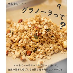 オーガニック グラノーラ 7種フレーバー 無添...の詳細画像2