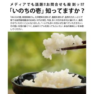 1,000円OFF 9日19時-30日10時 ...の詳細画像1