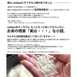1,000円OFF 9日19時-30日10時 ...の詳細画像2
