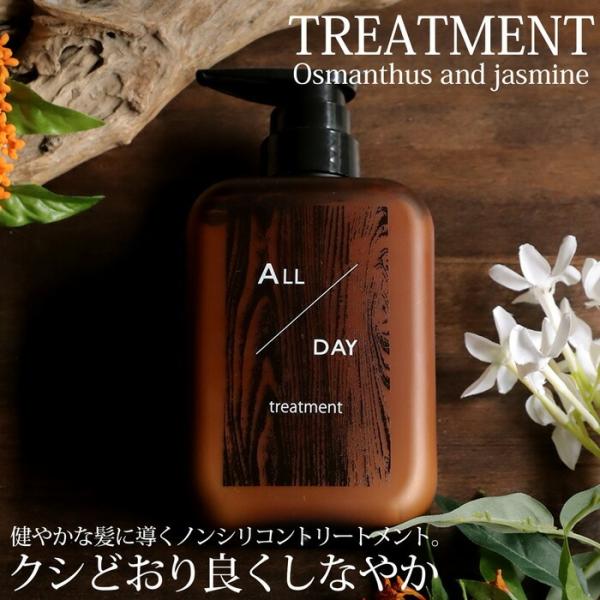 オールデイ デイリートリートメント トリートメント 送料無料・メール便不可
