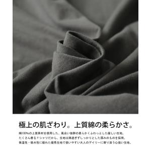 ビッグT Tシャツ レディース トップス 半袖...の詳細画像5