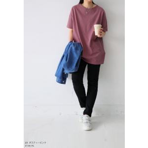 バスクT Tシャツ レディース トップス 半袖...の詳細画像3