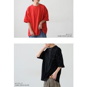 バスクTシャツ Tシャツ レディース トップス...の詳細画像3