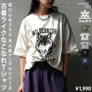 半袖 Tシャツ レディース 接触冷感 綿100 アニマル ロゴT ・50ptメール便可 爆買 母の日