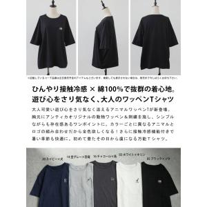 接触冷感 Tシャツ レディース 半袖 綿100...の詳細画像1