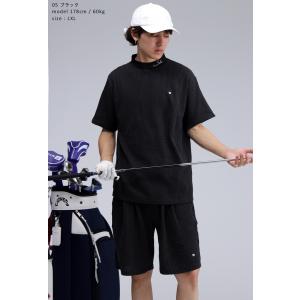 ストライプ柄 ハーフパンツ レディース ゴルフ...の詳細画像5