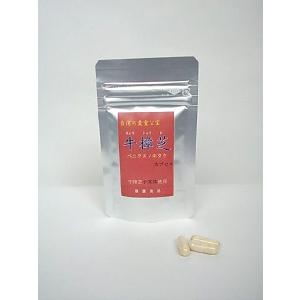 健康食品サプリメント　牛樟芝カプセル ３０粒　ベニクスノキタケ・紅樟芝｜antrodia-cinnamomea