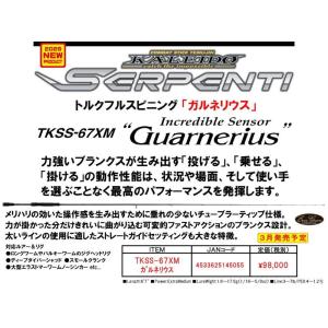 EverGreen エバーグリーン カレイド GT3RS-C71MH-TG40X スーパー EverGreen エバーグリーン カレイド GT3RS-C71MH-TG40X スーパー