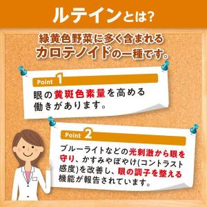 DHC ルテイン 60日 60粒 目 眼 ブル...の詳細画像3