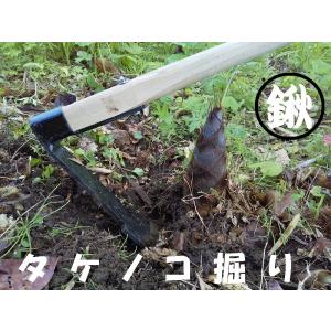 タケノコ掘り鍬 平型 刃長：約250mm 刃幅：約100mm 柄の長さ