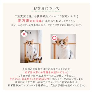 ペット 位牌 アクリル 写真入り メモリアル ...の詳細画像5