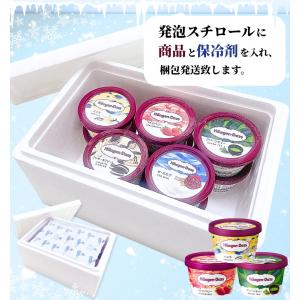 【のし無料】 ハーゲンダッツ ミニカップ バラ...の詳細画像2