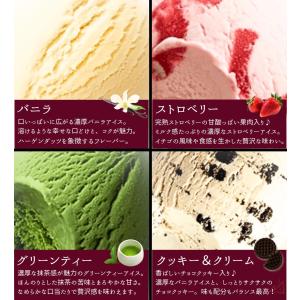 【のし無料】 ハーゲンダッツ ミニカップ バラ...の詳細画像4
