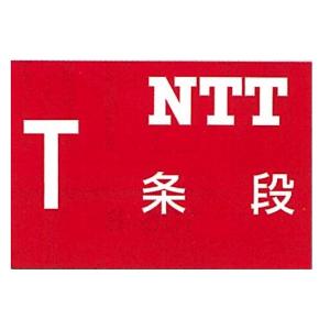 ���ݕW���@NTT 250�~350mm �����H�[