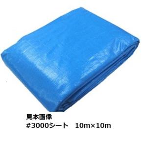 �W�����{�V�[�g�@�u���[�V�[�g����@��3000�@25�~25m �A�� 1��