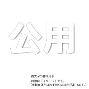 ユニット 駐車場用路面表示シート「公用」 小　300×300mm 835-027　駐車場用文字シート｜anzen-signshop