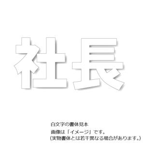 ���ԏ�p�H�ʕ\���V�[�g�u�В��v ���@300�~300mm 835-028�@���ԏ�p�����V�[�g