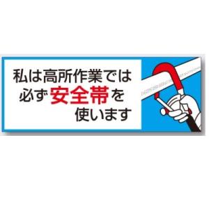 ヘルメット用ステッカー「私は高所作業では必ず安全帯を使います」１０枚セット851-B