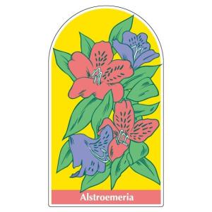 �W���C�V�[���@�t�����[�K�[�f��3 700�~400mm�@�C���[�W�A�b�v�p�i 912-25