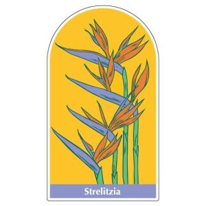 �W���C�V�[���@�t�����[�K�[�f��3 700�~400mm�@�C���[�W�A�b�v�p�i 912-26