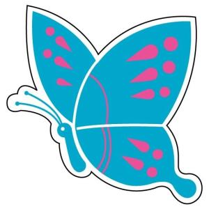 �W���C�V�[���@�o�^�t���C�t���[�@���@�C���[�W�A�b�v�p�i 913-05