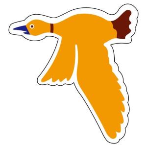 �W���C�V�[���@�o�[�h�t���[1 ���@�C���[�W�A�b�v�p�i 913-12